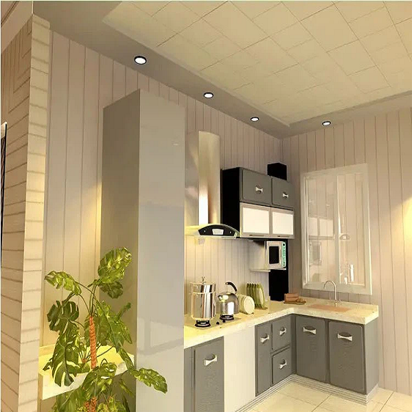 Ceiling PVC board 4 Ceiling PVC board 4